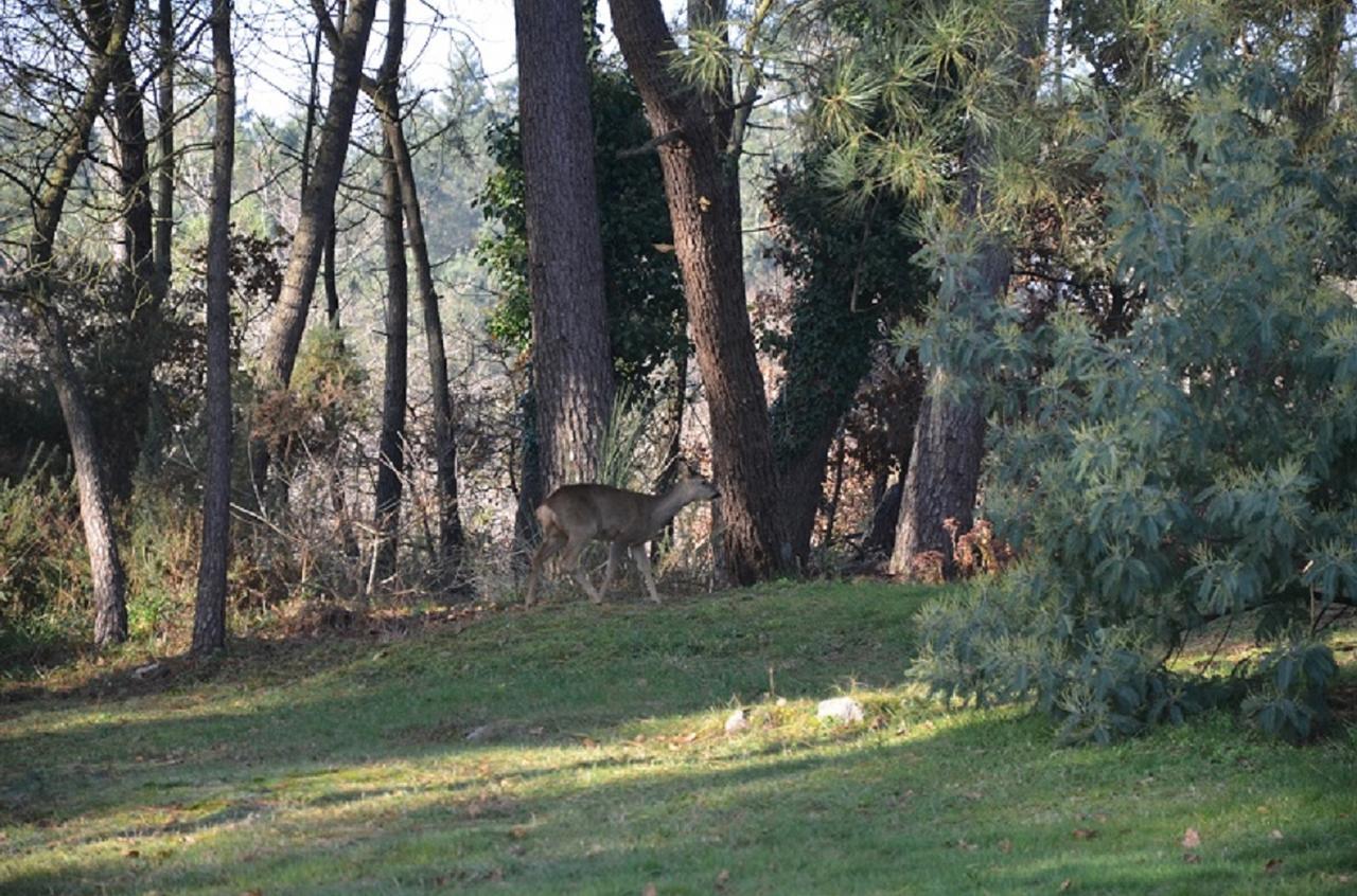 L'Hippocampe Bed and Breakfast Sérent Εξωτερικό φωτογραφία