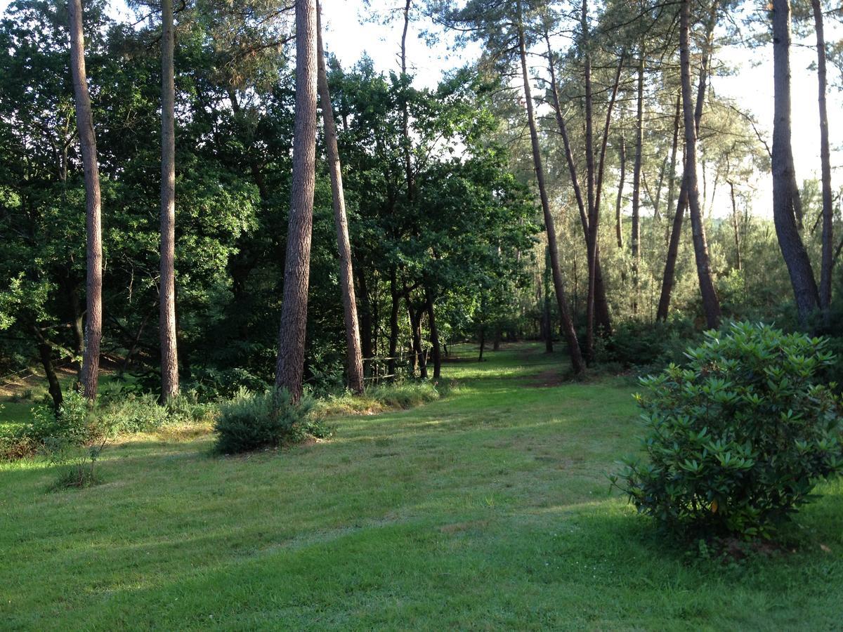 L'Hippocampe Bed and Breakfast Sérent Εξωτερικό φωτογραφία