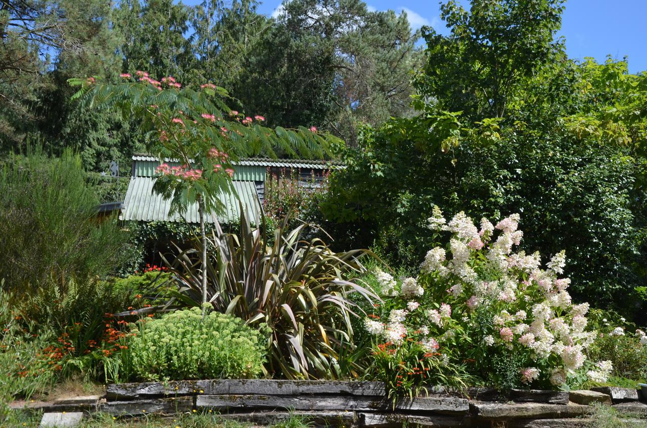 L'Hippocampe Bed and Breakfast Sérent Εξωτερικό φωτογραφία