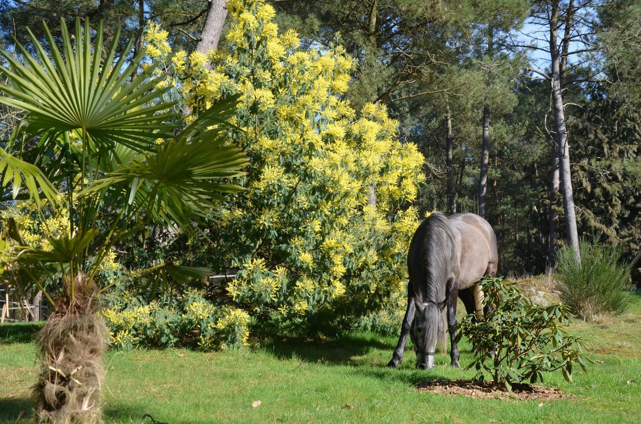 L'Hippocampe Bed and Breakfast Sérent Εξωτερικό φωτογραφία
