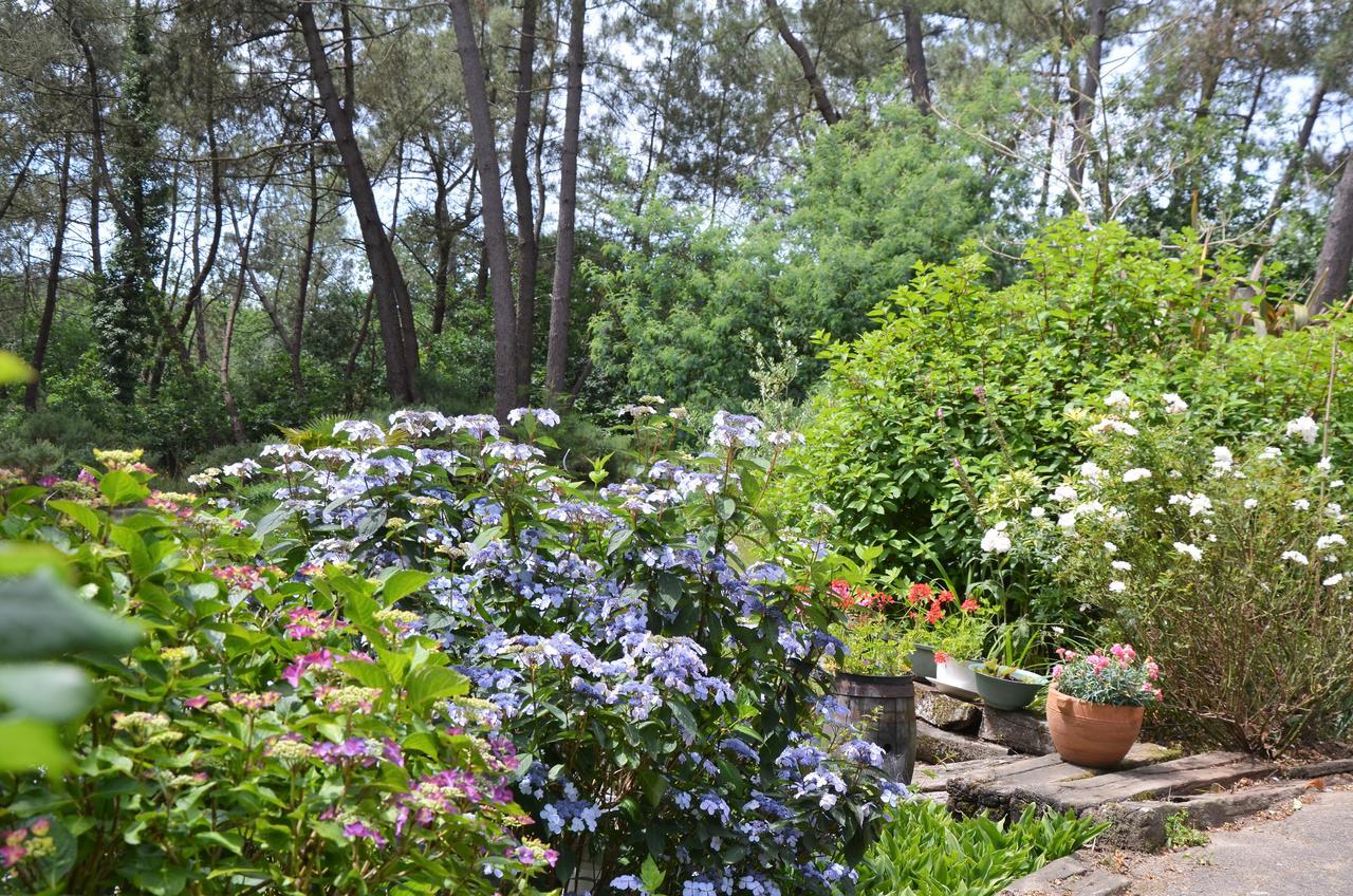 L'Hippocampe Bed and Breakfast Sérent Εξωτερικό φωτογραφία